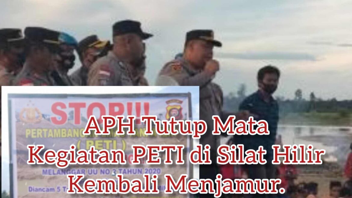 Diduga Adanya Setoran dan Pembiaaran Kegiatan PETI di Silat Hilir, Darat dan Sungai Kapuas Tak Tersentuh APH.