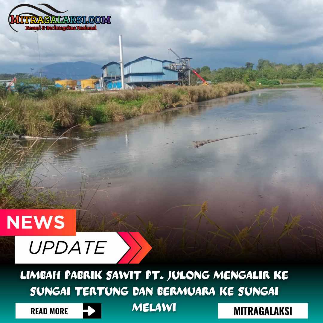 Warga Menemukan Limbah Pabrik Kelapa Sawit PT. Julong Mengalir ke Sungai Tertung Yang Bermuara ke Sungai Melawi.