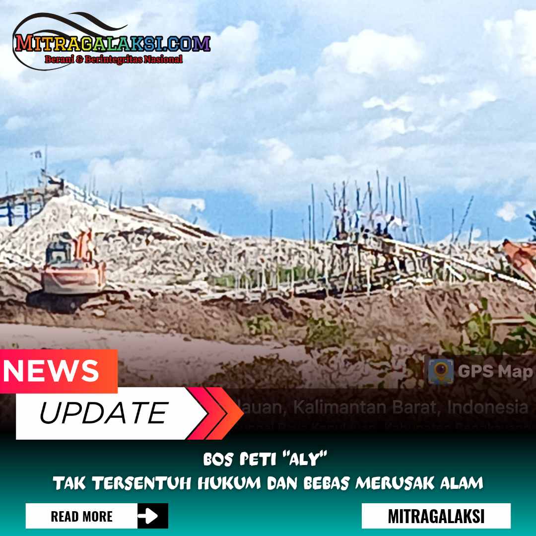Bos Peti ALY Tak Tersentuh Hukum Dan Bebas Merusak Alam