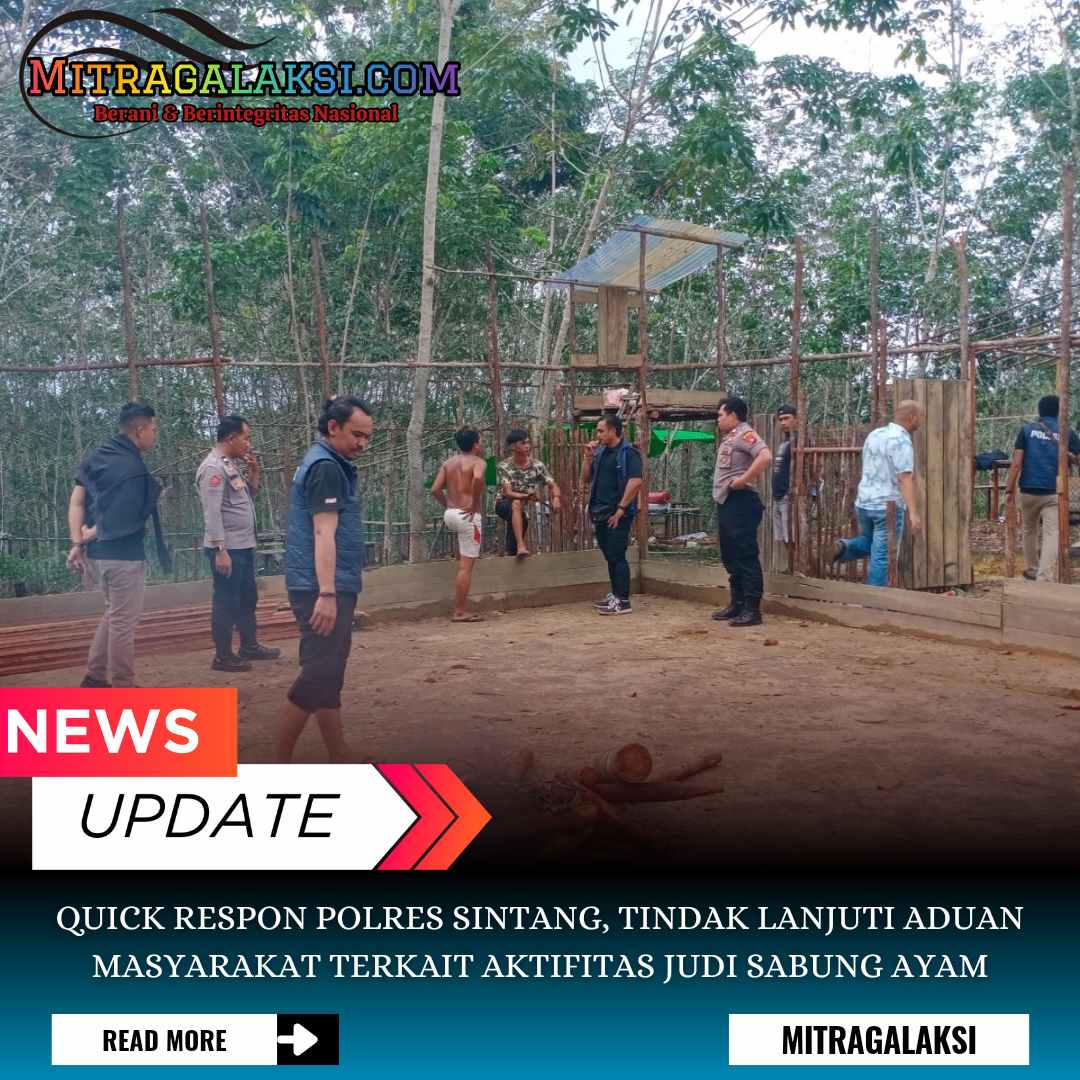Polres Sintang Tindak Lanjuti Aduan Masyarakat Terkait Aktifitas Judi Sabung Ayam