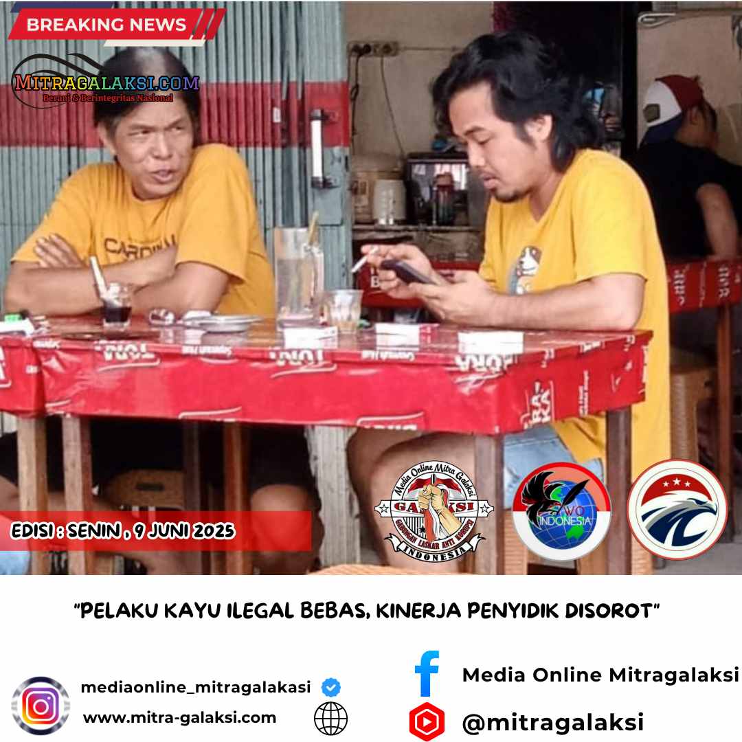 “Pelaku Kayu Ilegal Bebas, Kinerja Penyidik Disorot”