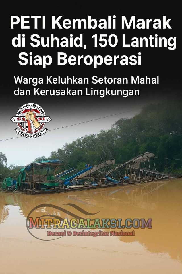 PETI Kembali Marak di Suhaid, 150 Lanting Siap Beroperasi di Desa Tanjung dan Tanjung Harapan