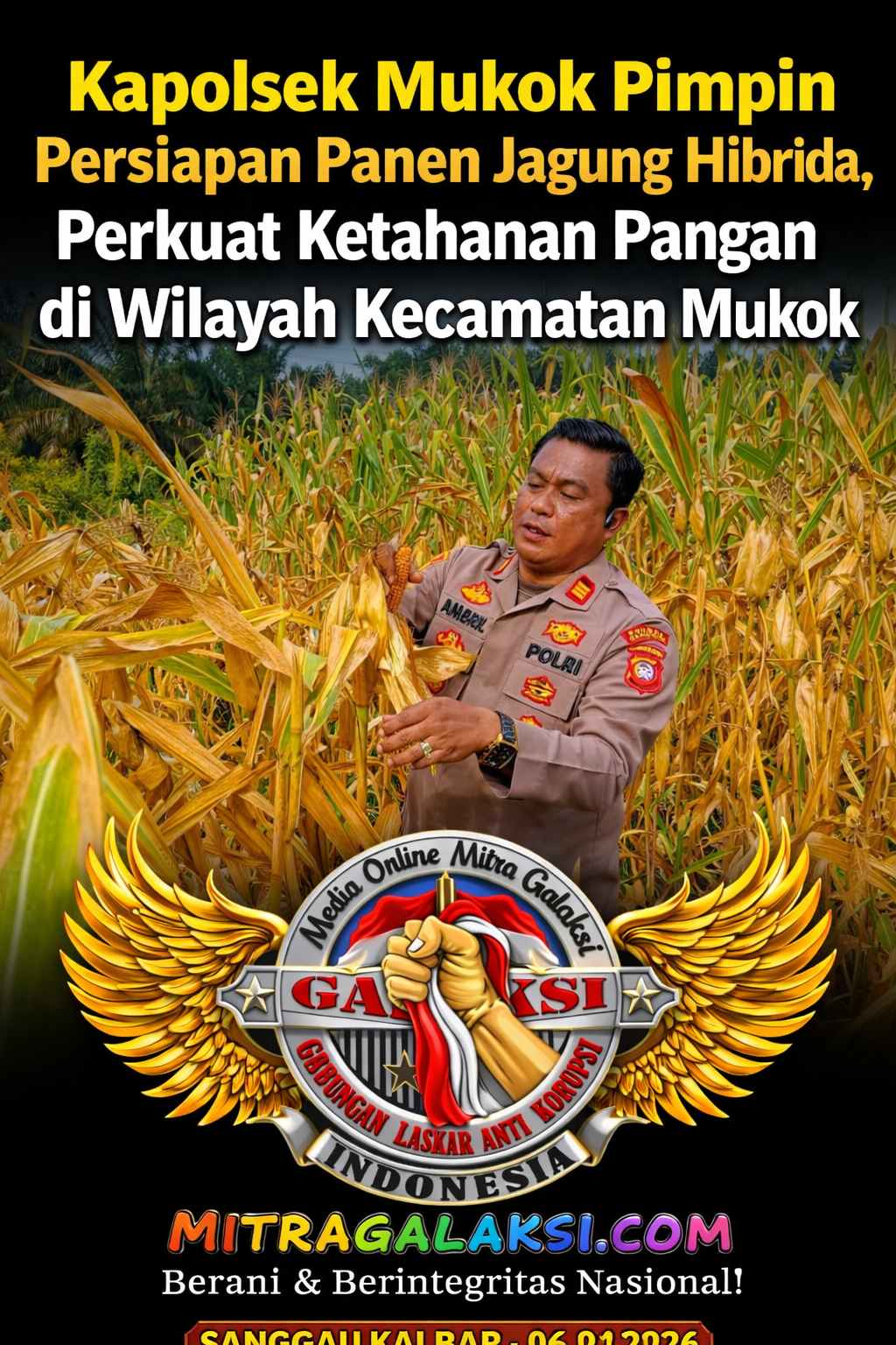 Kapolsek Mukok Pimpin Persiapan Panen Jagung Hibrida, Perkuat Ketahanan Pangan di Wilayah Kecamatan Mukok