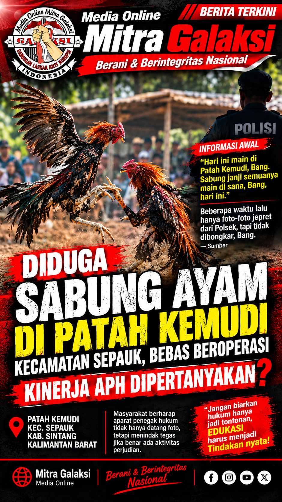 Diduga Sabung Ayam Di Patah Kemudi Sepauk Bebas Beroperasi, Kinerja Aph Dipertanyakan  ?