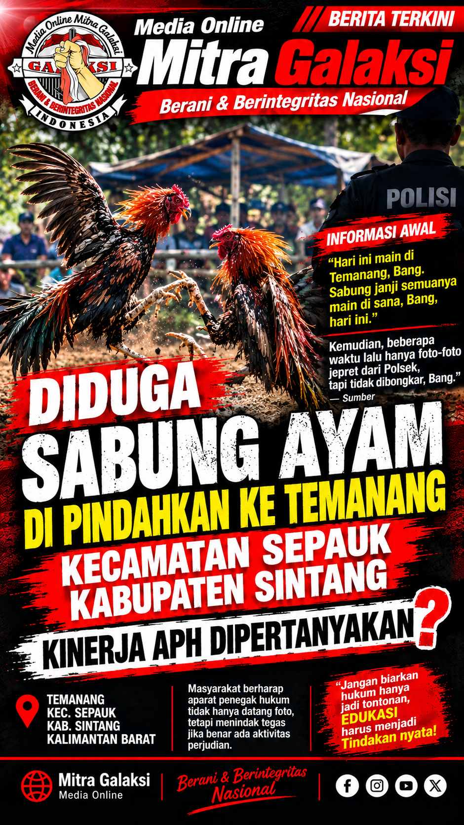 Diduga Sabung Ayam Di Patah Kemudi Pindah Ke Temanang  Sepauk Bebas Beroperasi, Kinerja Aph Dipertanyakan  ?